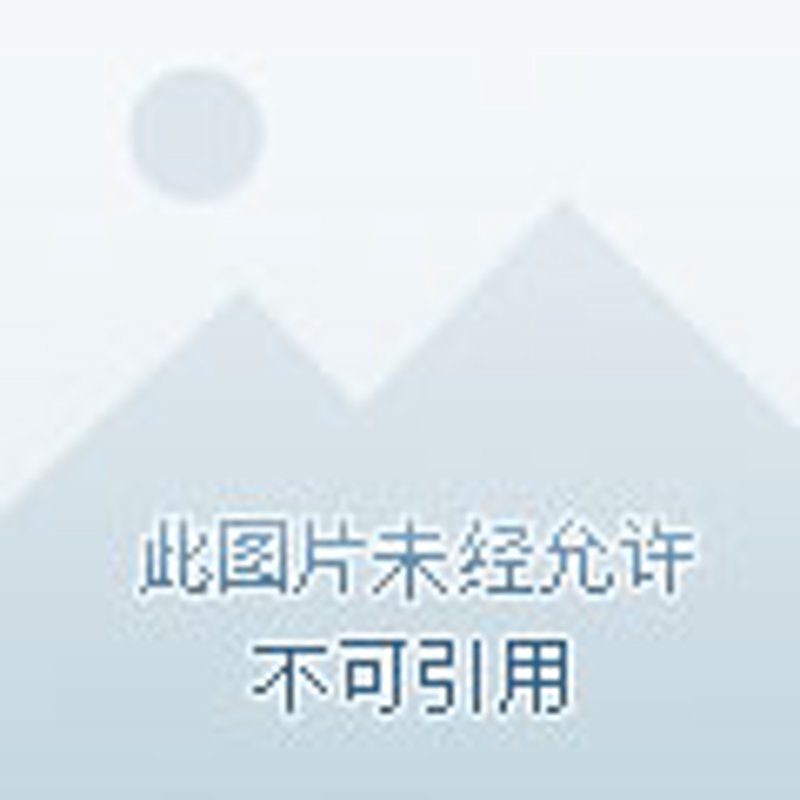 东莞服装行业的蓬勃发展与新机遇